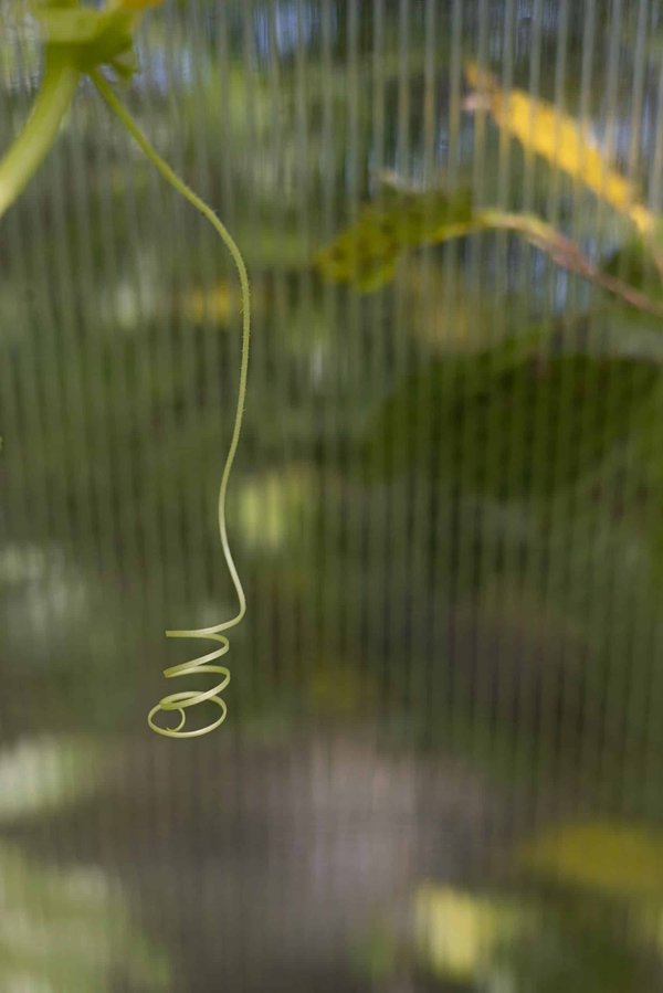 Comment une formation en composition musicale peut-elle s'adapter aux musiciens de films?